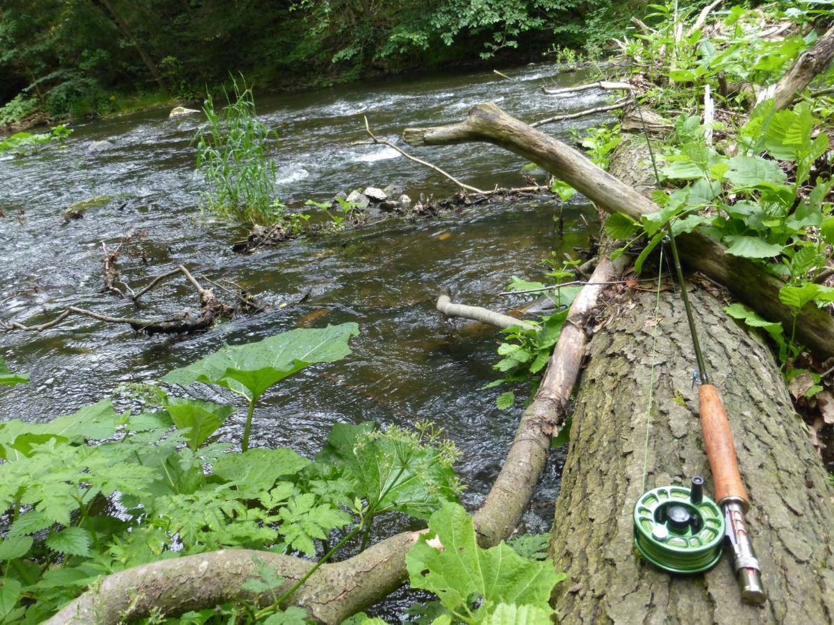 Pension Waldfrieden Thale Buitenkant foto