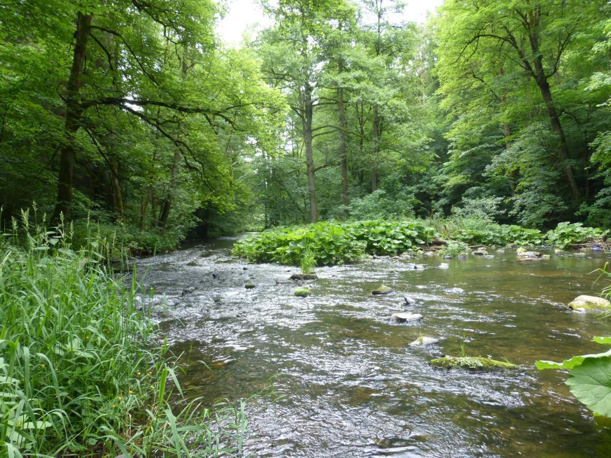 Pension Waldfrieden Thale Buitenkant foto